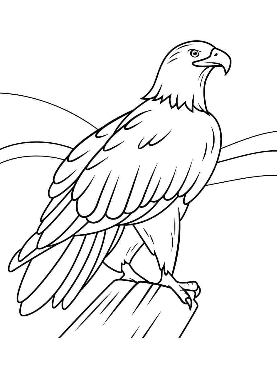 Bald Eagle Ausmalbilder 81