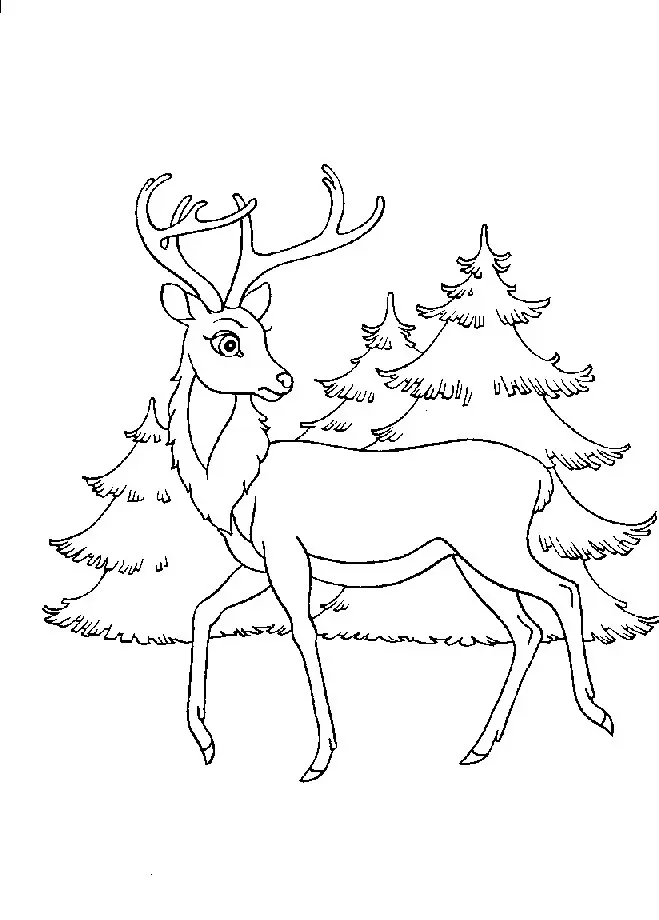 Bambi Coloring Pages 47