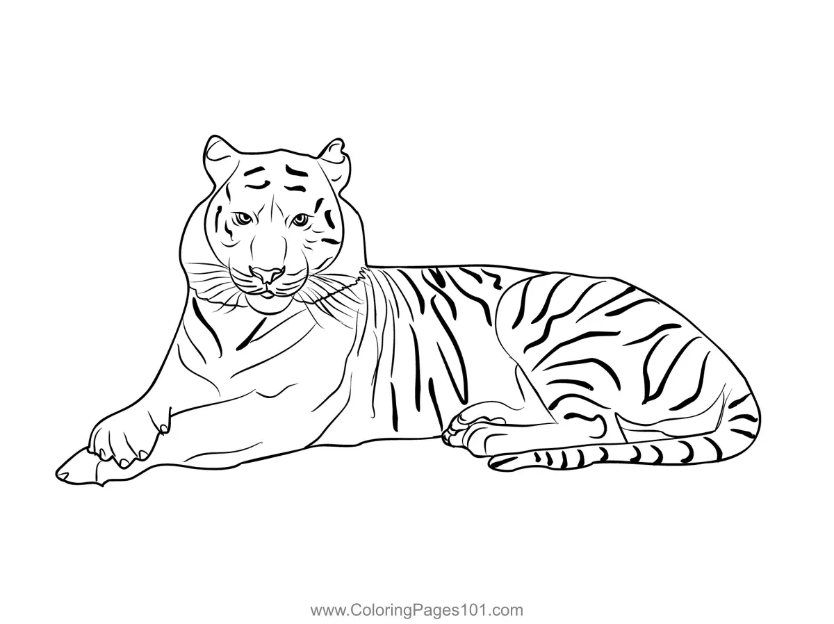 Bangladesh Para Colorir