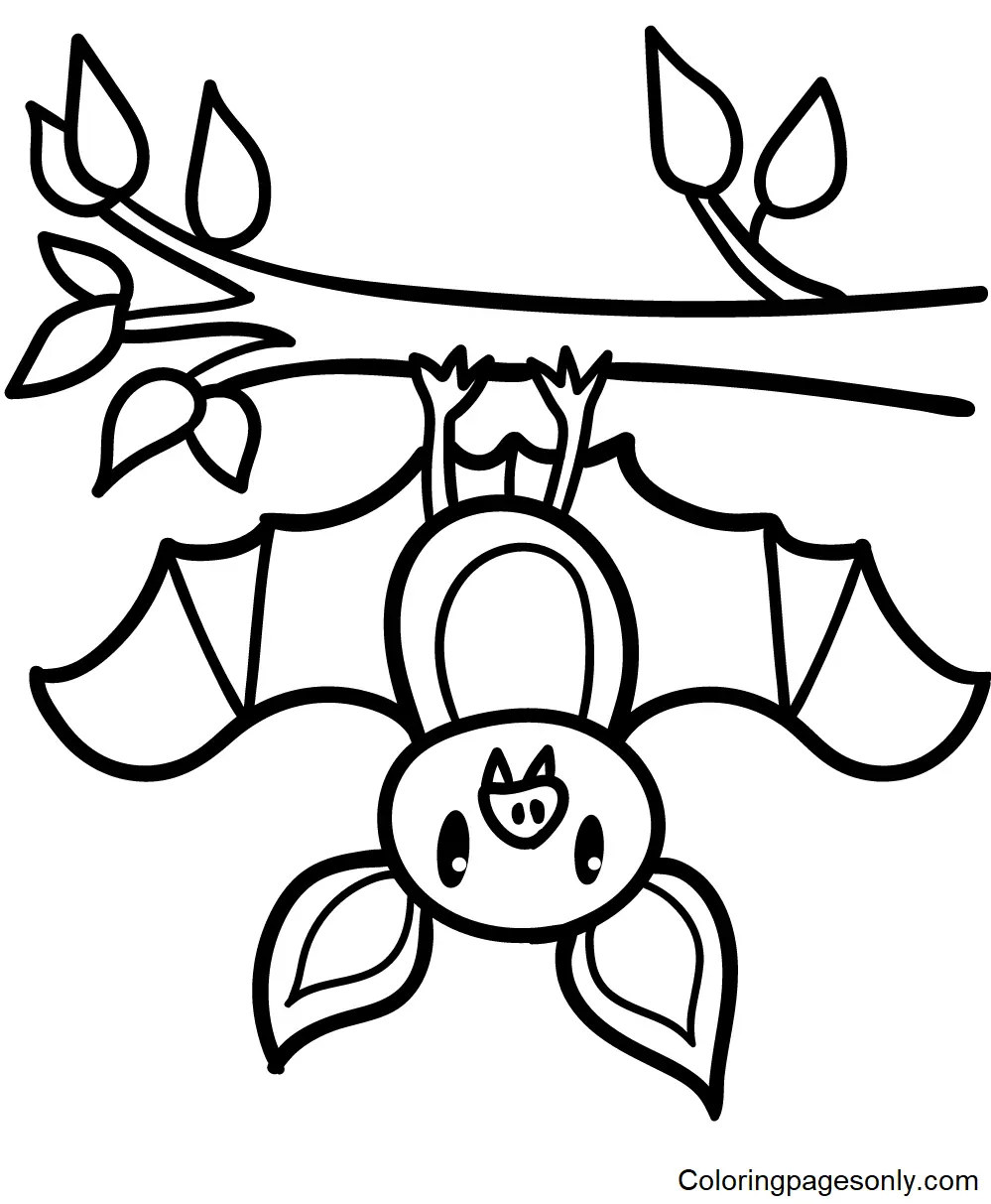 Desenhos de Morcegos Para Colorir 4