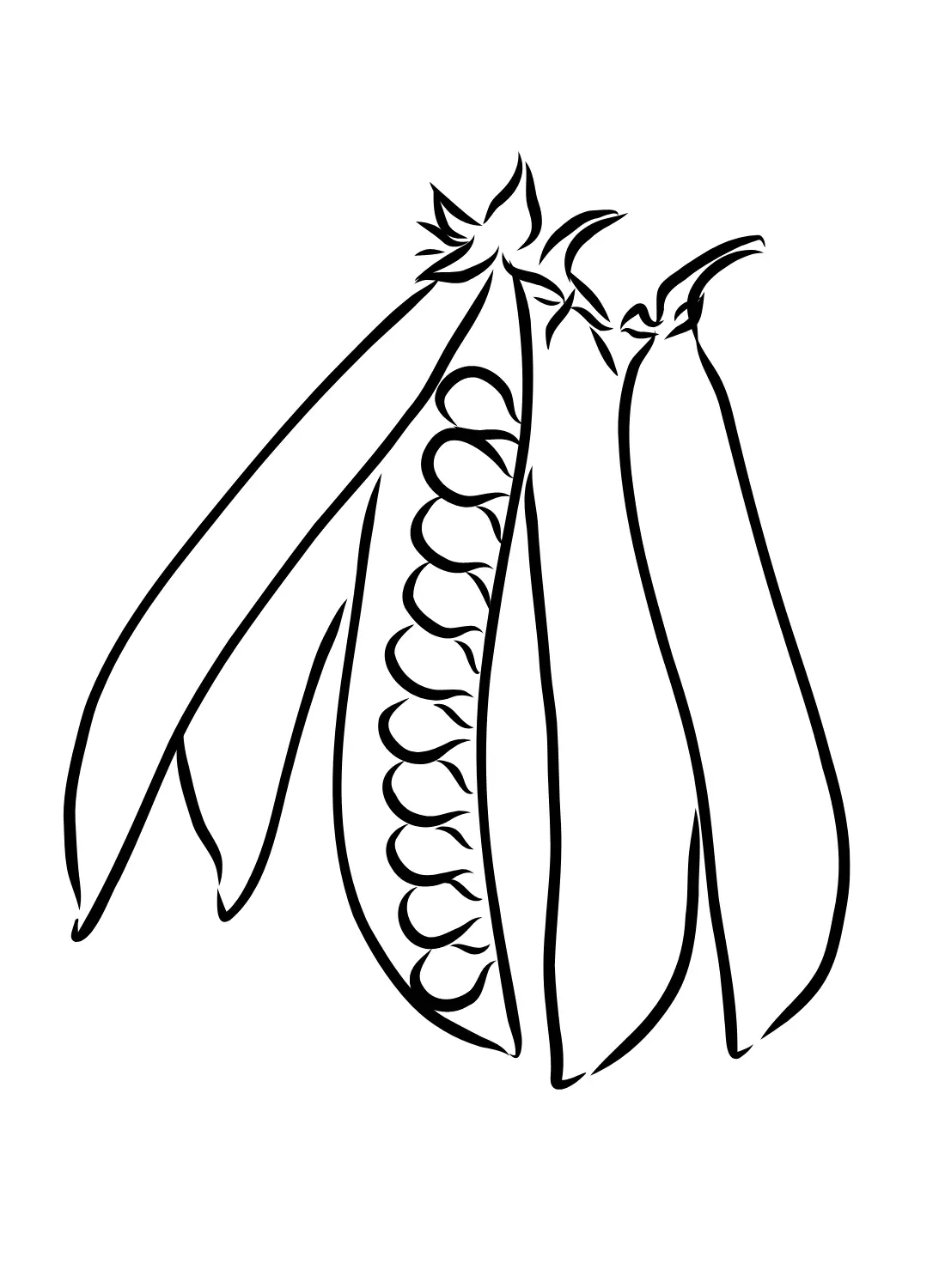 Beans Coloring Pages 19