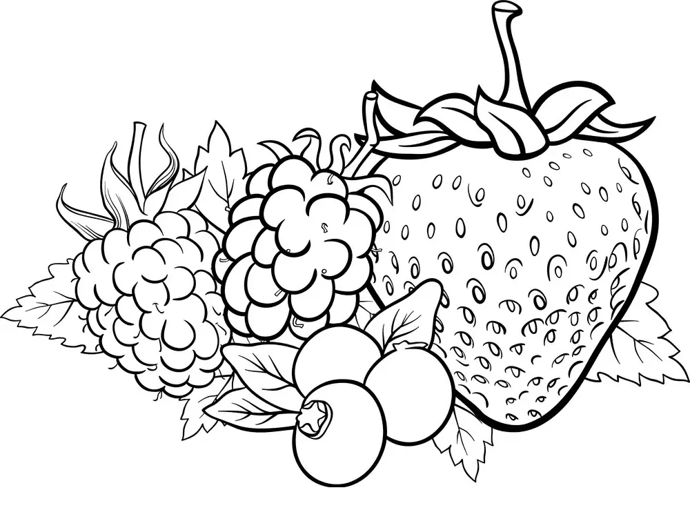 Bayas Para Colorear 1