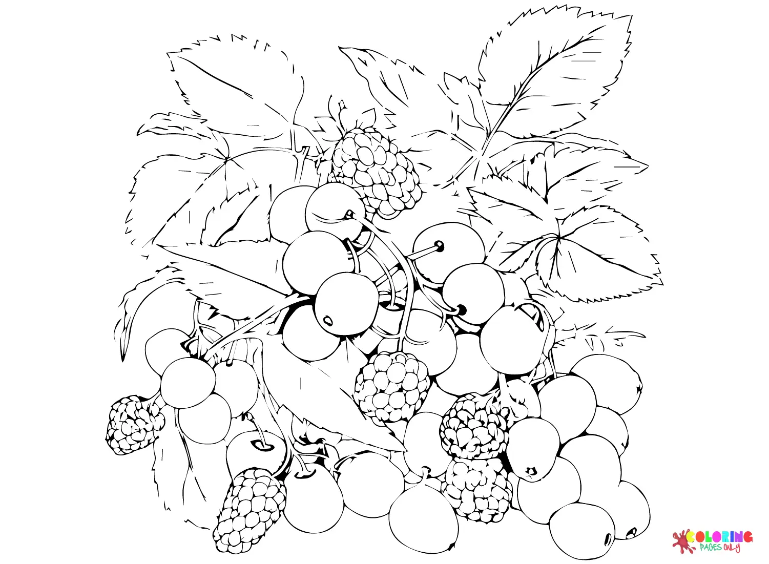 Bayas Para Colorear 10