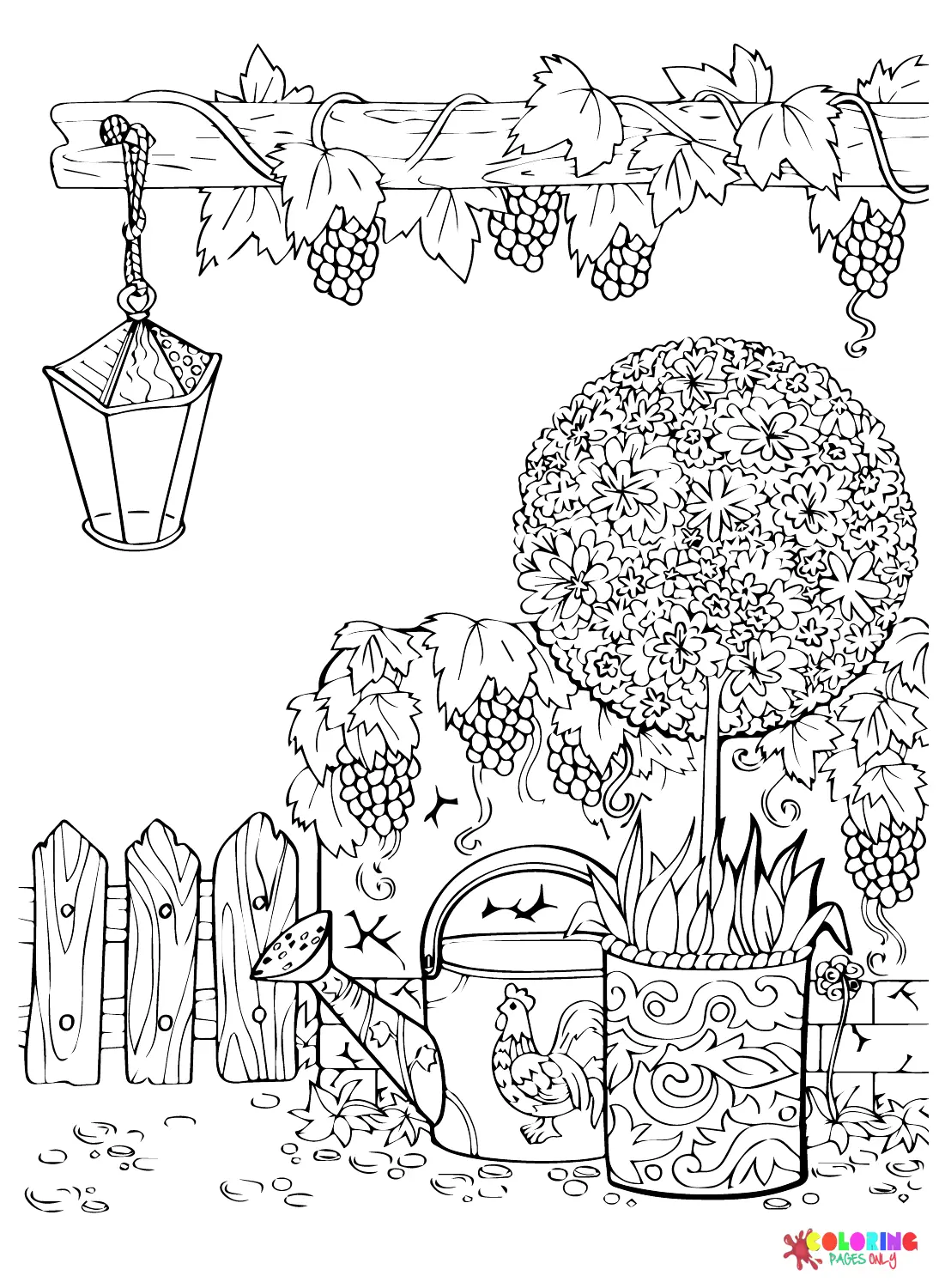 Bayas Para Colorear 15