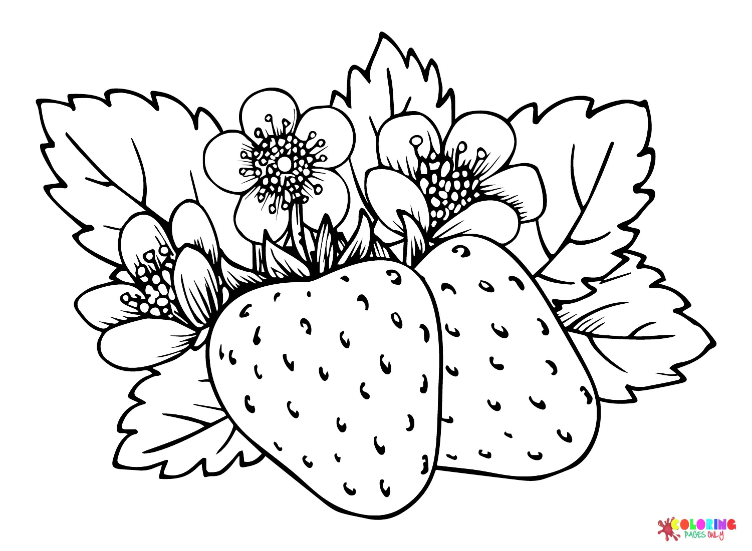 Bayas Para Colorear 6