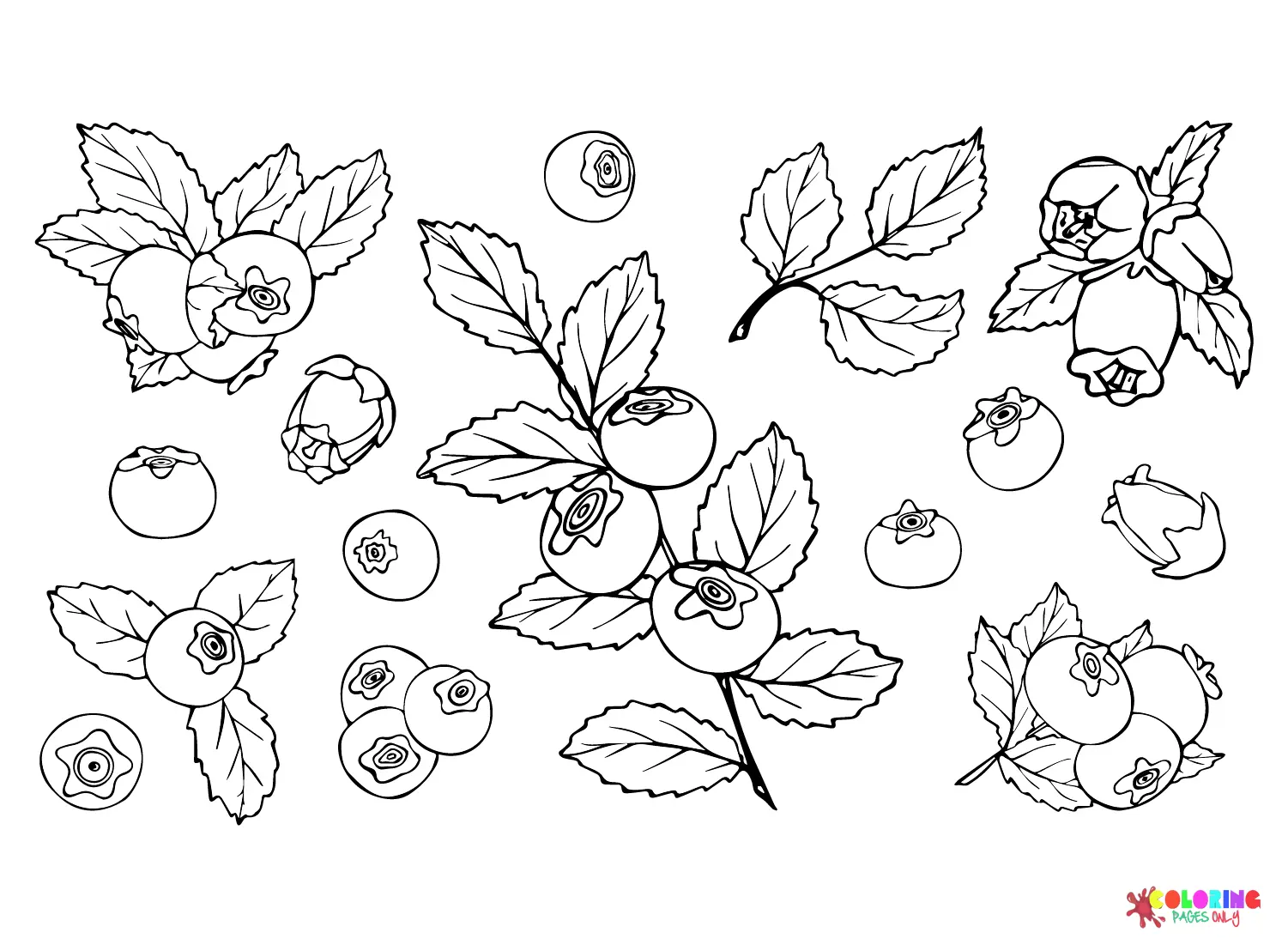 Bayas Para Colorear 7