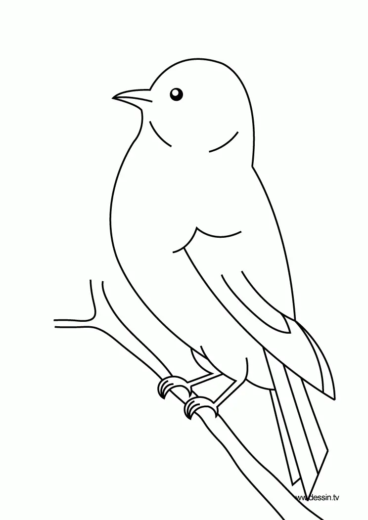 Vogel Ausmalbilder 119