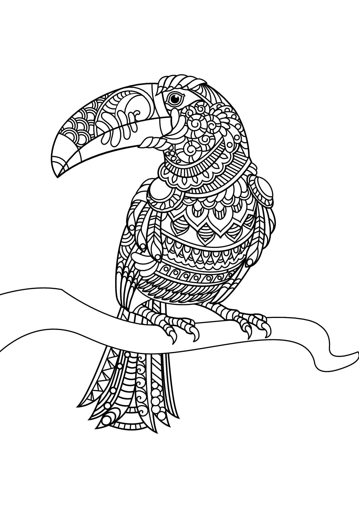 Vogel Ausmalbilder 214