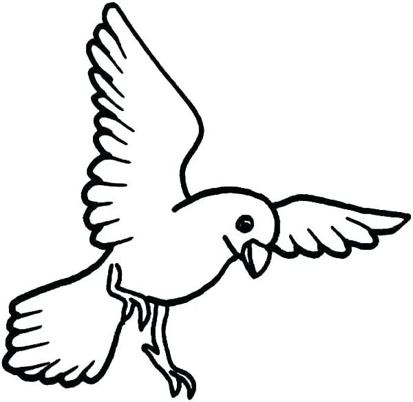 Vogel Ausmalbilder 216