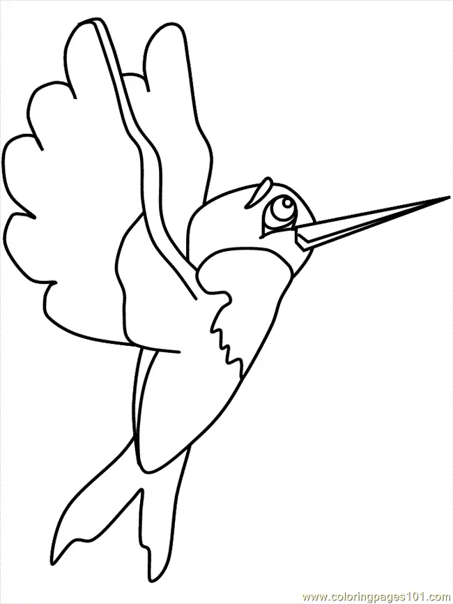 Vogel Ausmalbilder 29