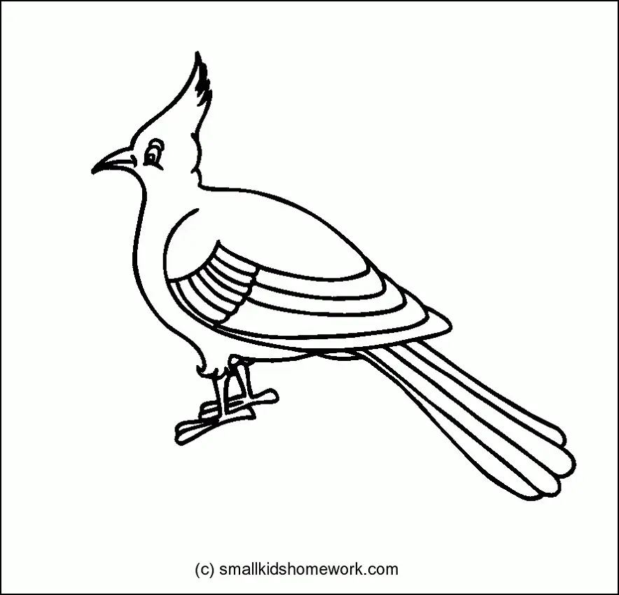 Vogel Ausmalbilder 70