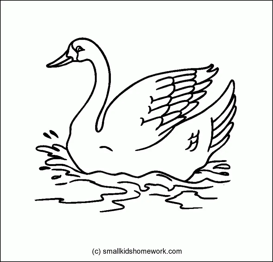 Vogel Ausmalbilder 76