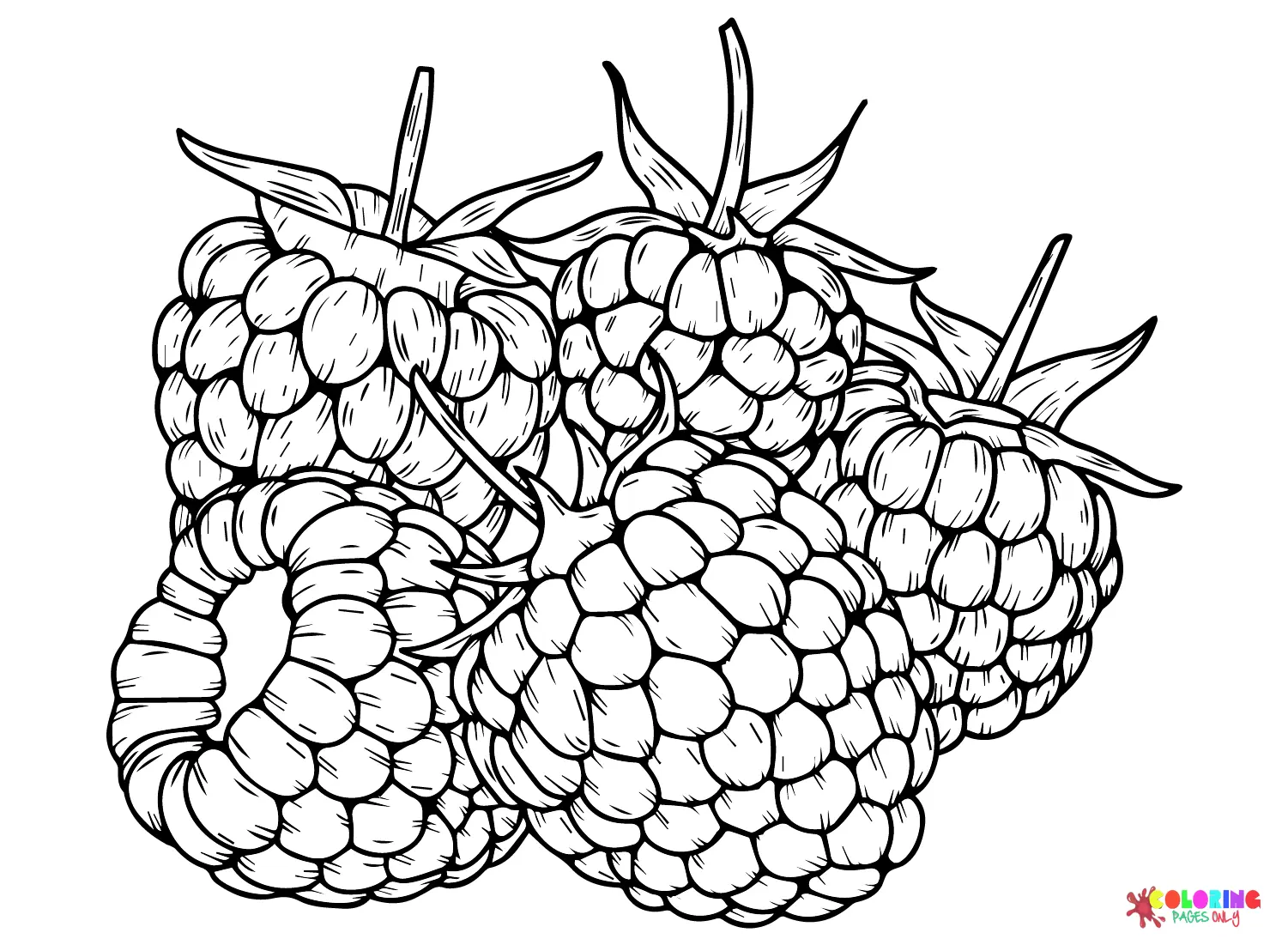 Desenhos de Amora Para Colorir 13