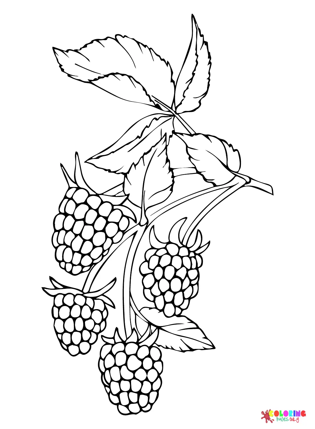 Desenhos de Amora Para Colorir 15