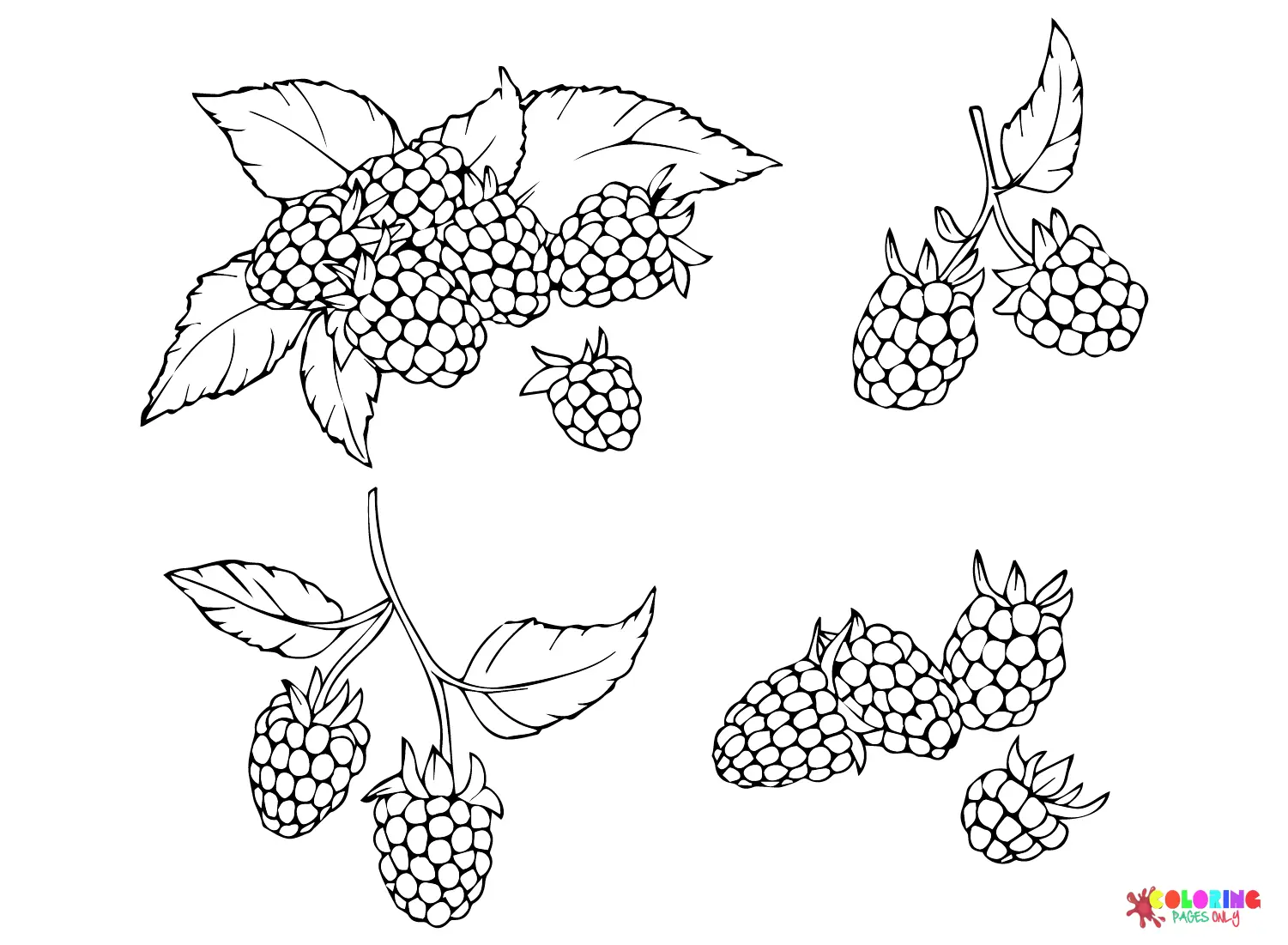 Desenhos de Amora Para Colorir 19