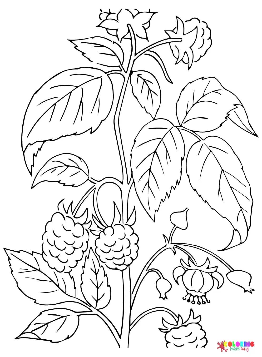 Desenhos de Amora Para Colorir 21