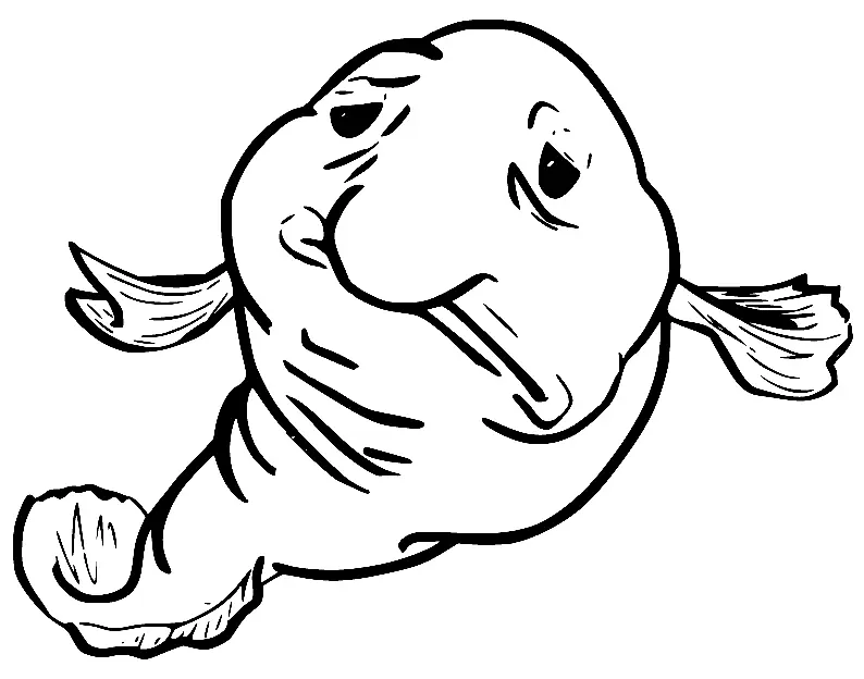 Blobfish Ausmalbilder 11