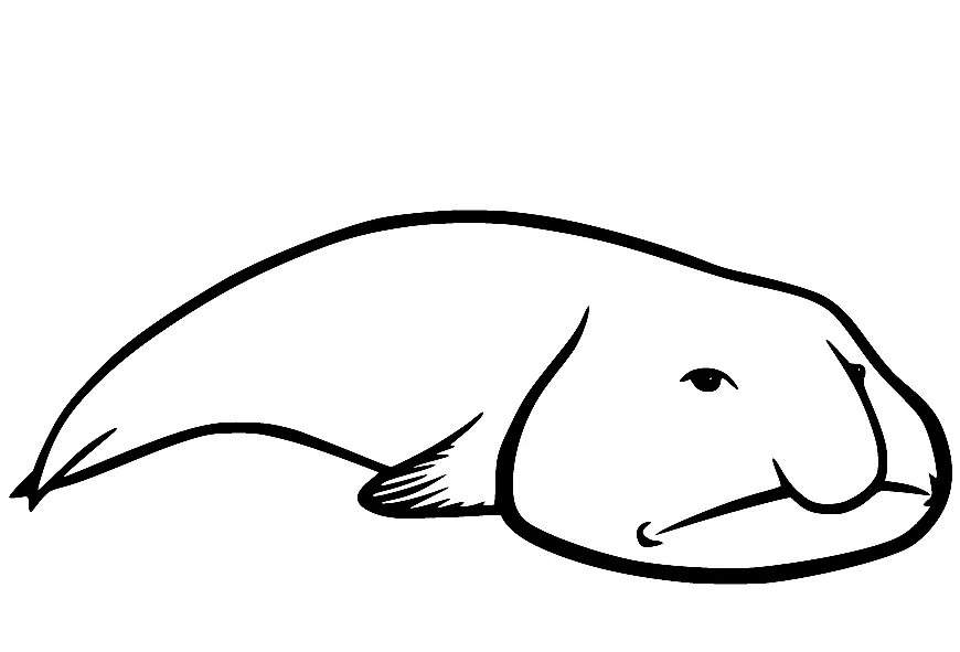 Blobfish Ausmalbilder 19