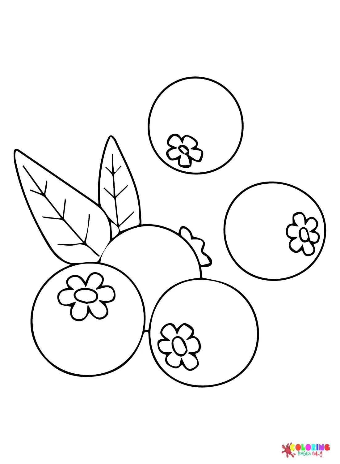 Blaubeer Ausmalbilder 11