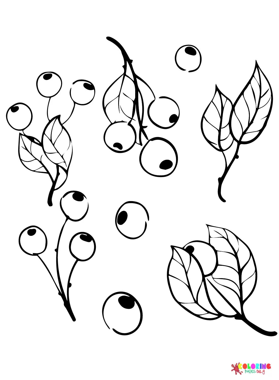 Blaubeer Ausmalbilder 12