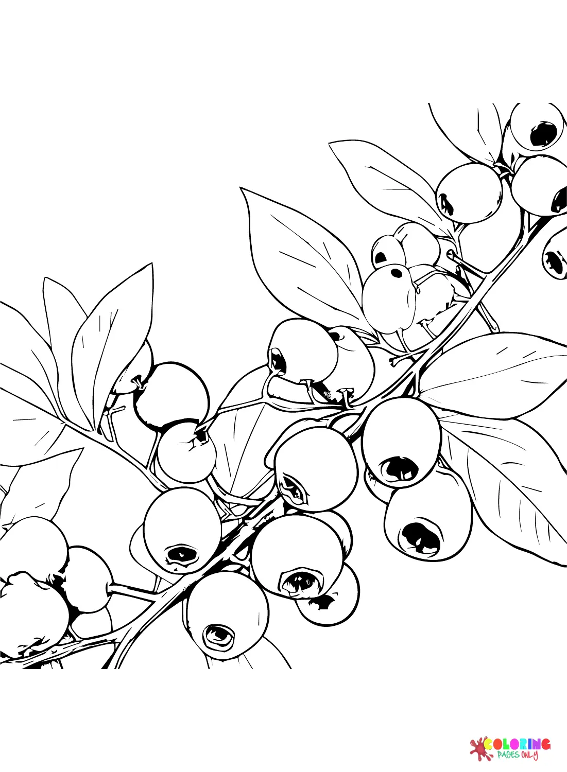 Blaubeer Ausmalbilder 17
