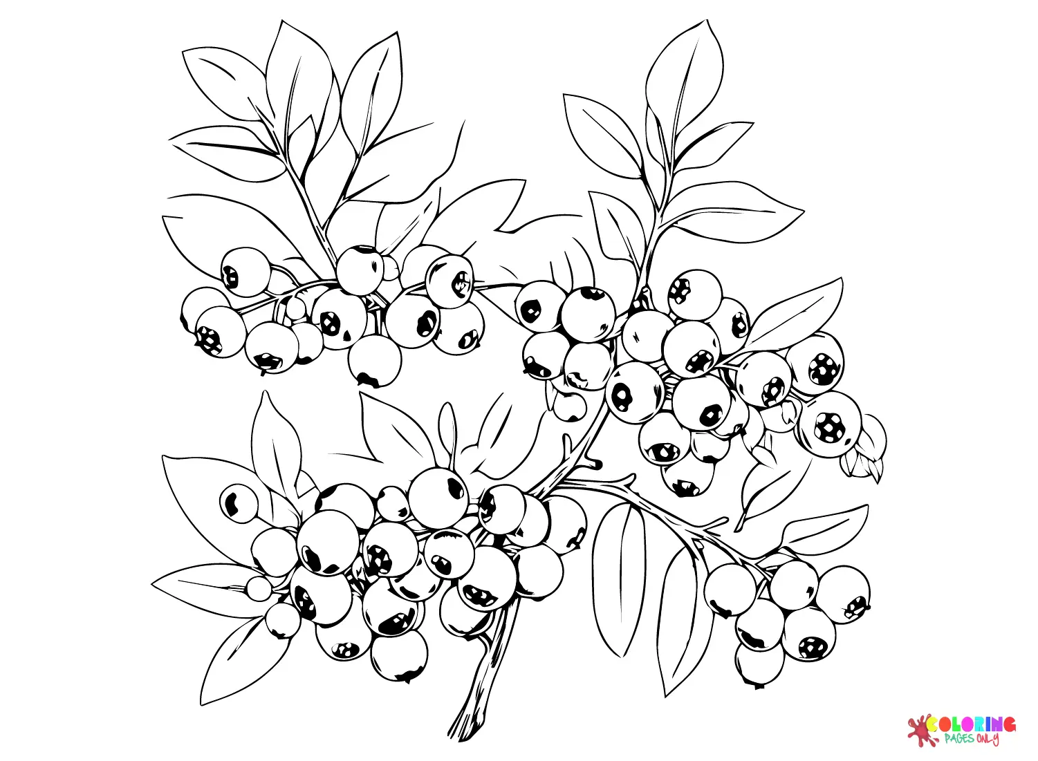 Blaubeer Ausmalbilder 22