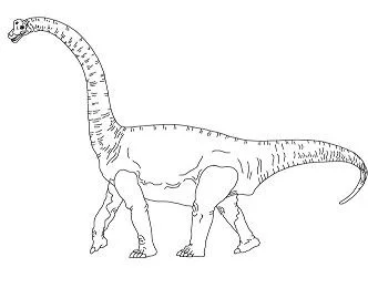 Brachiosaurus Coloring Pages 14