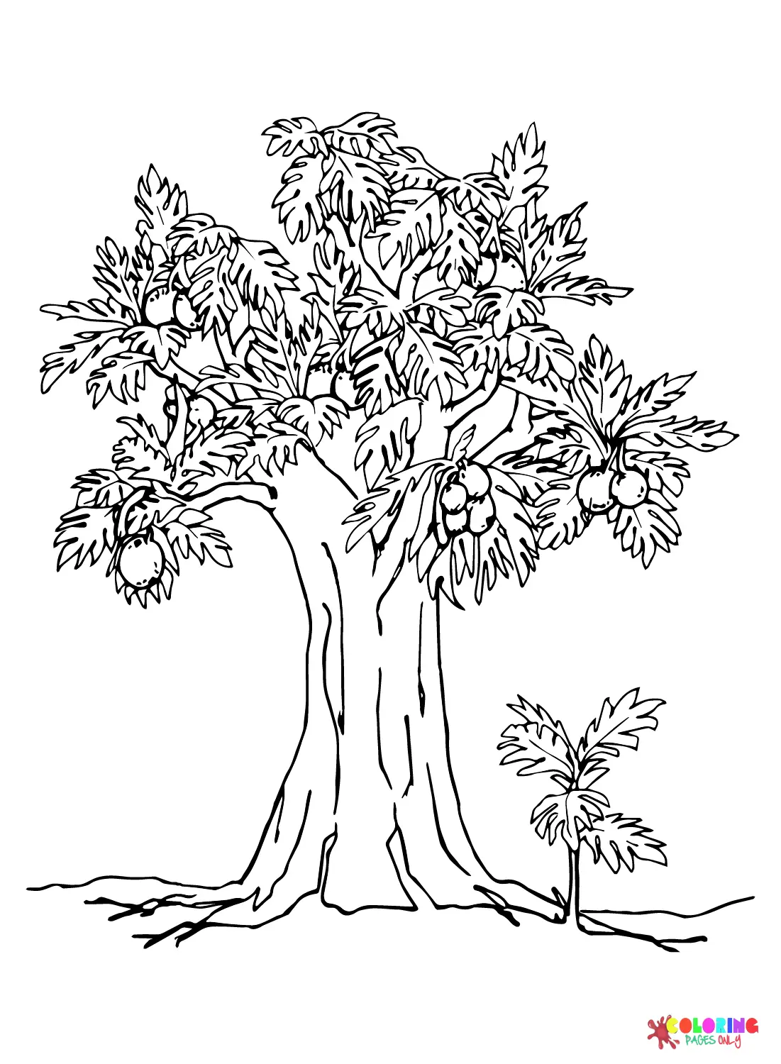 Desenhos de Fruta-Pao Para Colorir 15