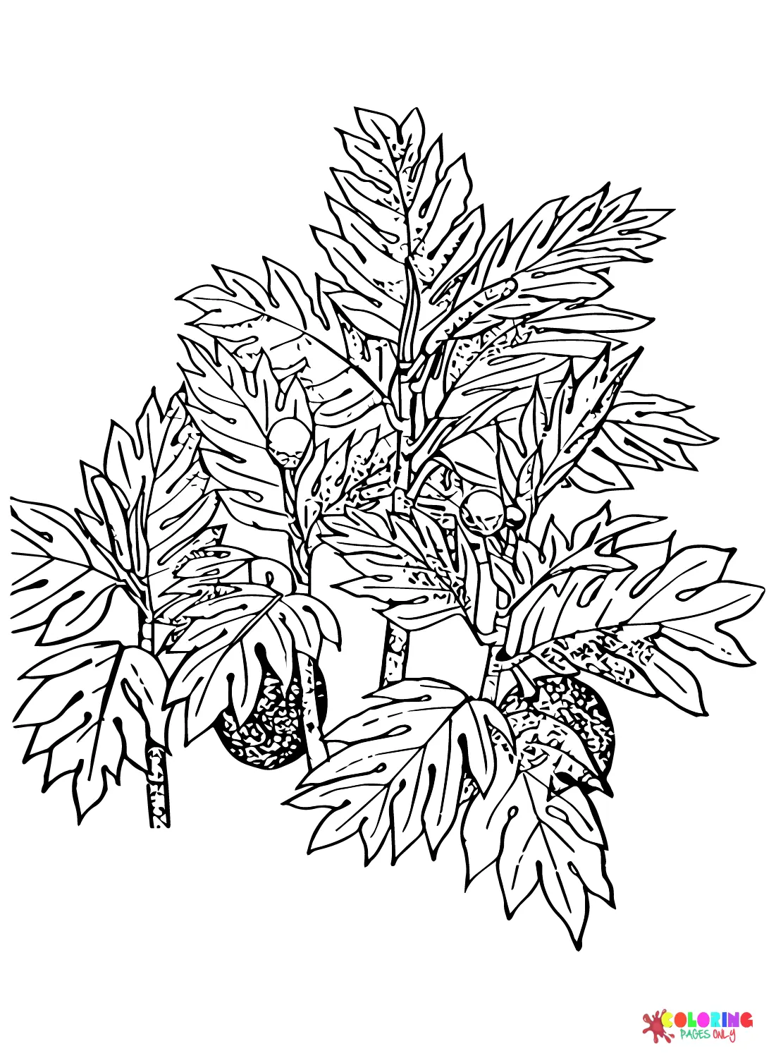 Desenhos de Fruta-Pao Para Colorir 4