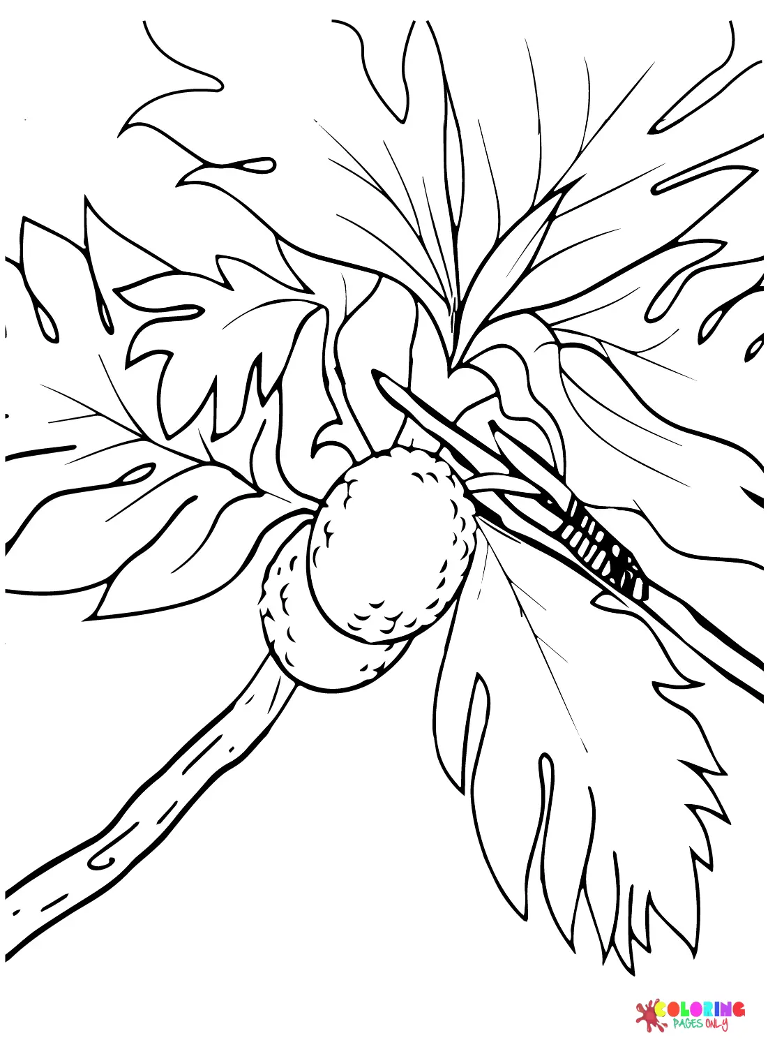 Desenhos de Fruta-Pao Para Colorir 5