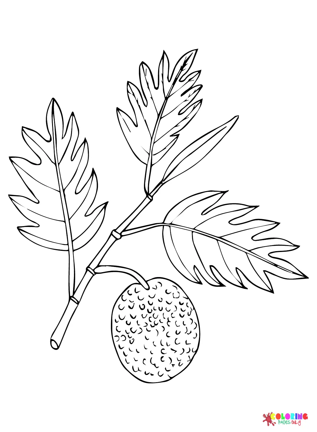 Desenhos de Fruta-Pao Para Colorir 9
