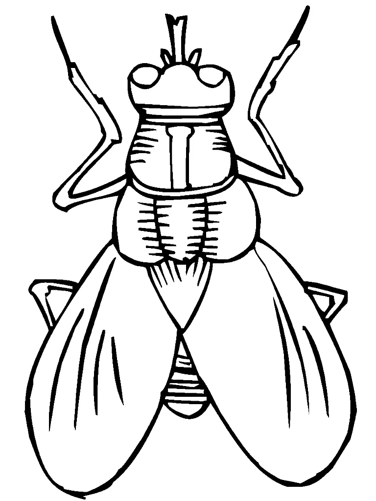 Bugs Coloring Pages 10