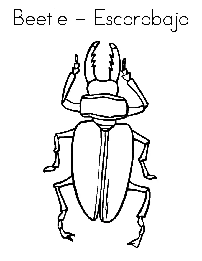 Bugs Coloring Pages 15