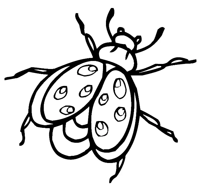 Bugs Coloring Pages 16