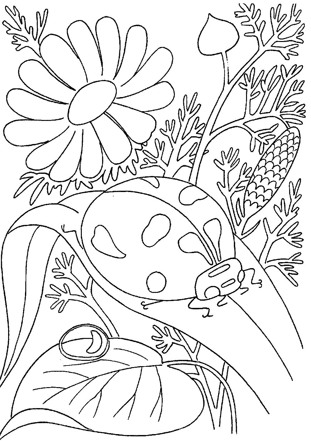 Bugs Coloring Pages 23