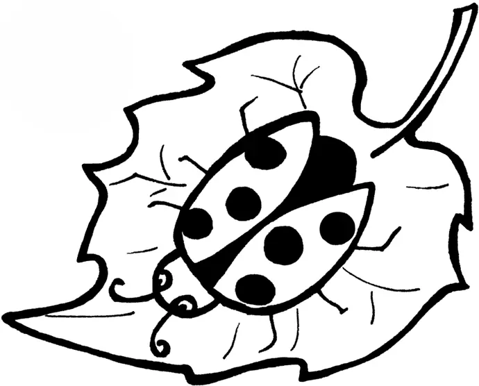 Bugs Coloring Pages 27