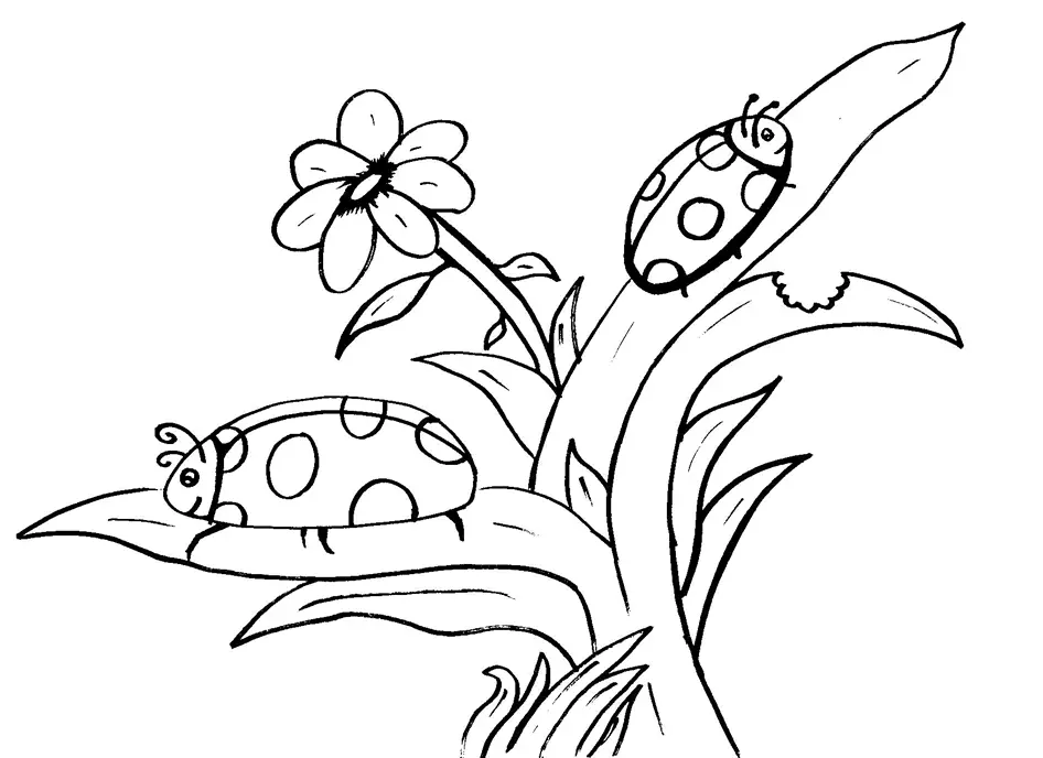 Bugs Coloring Pages 7