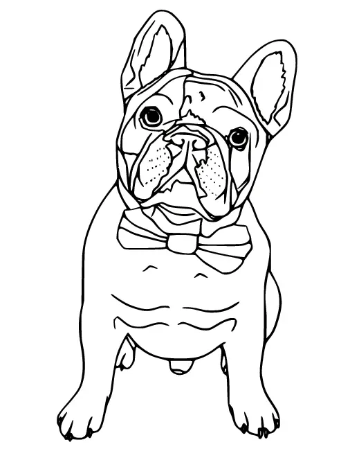 Bulldog Ausmalbilder 16