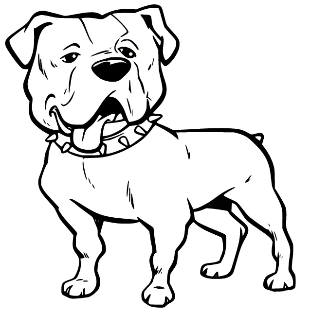 Bulldog Ausmalbilder 23