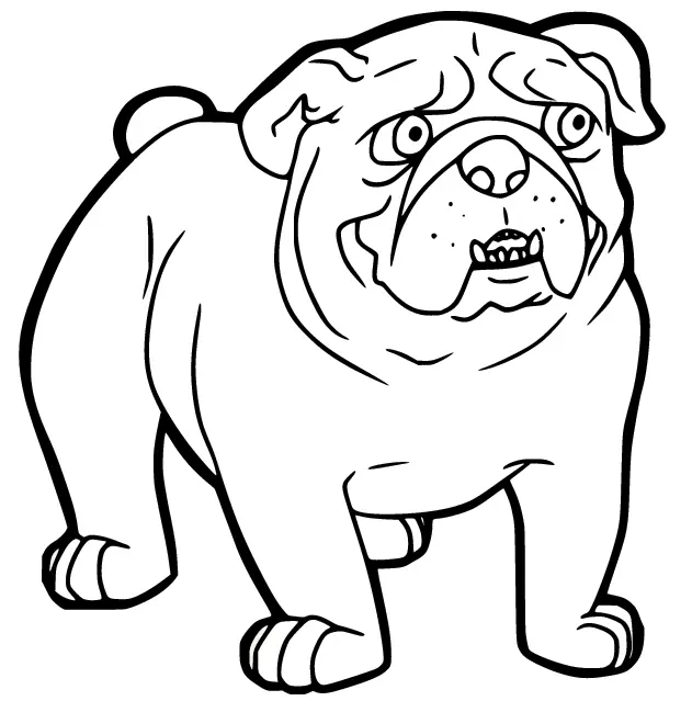 Bulldog Ausmalbilder 9