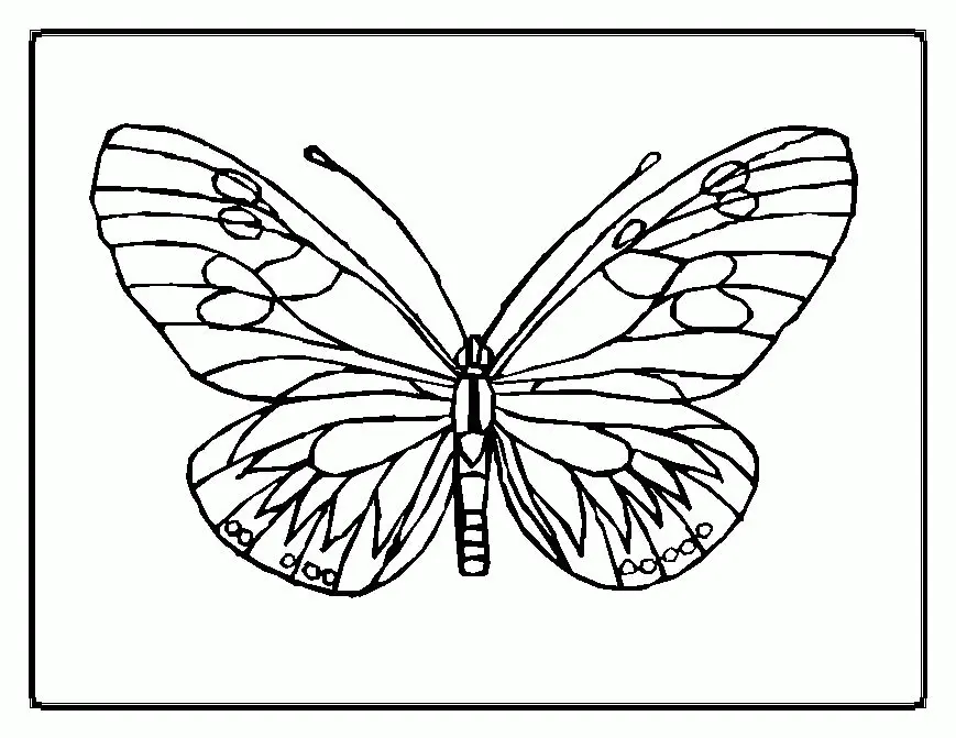 Butterfly Coloring Pages 10