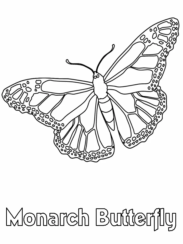 Butterfly Coloring Pages 17