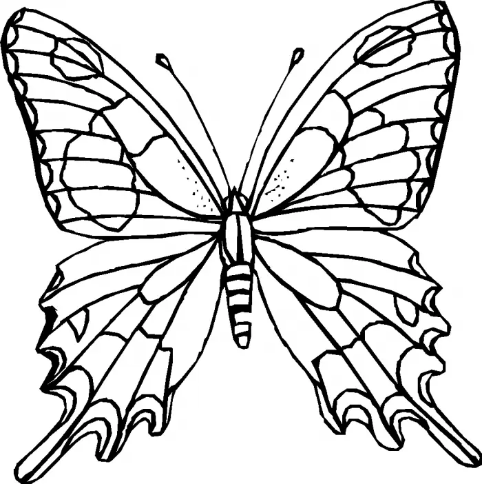Butterfly Coloring Pages 22