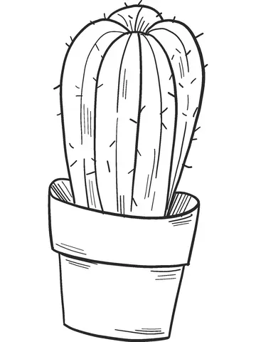 Desenhos de Cactus Para Colorir 10