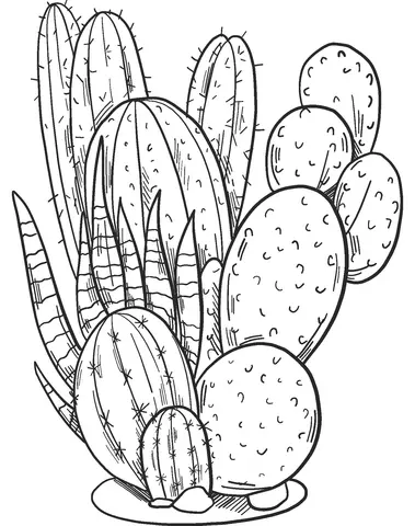 Desenhos de Cactus Para Colorir 14