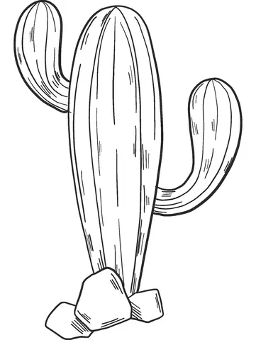 Desenhos de Cactus Para Colorir 2