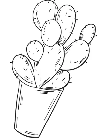 Desenhos de Cactus Para Colorir 20
