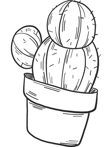Desenhos de Cactus Para Colorir 21
