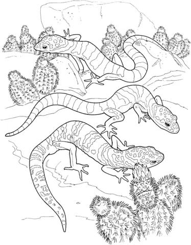 Desenhos de Cactus Para Colorir 32