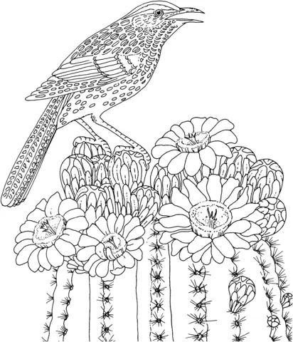 Desenhos de Cactus Para Colorir 37